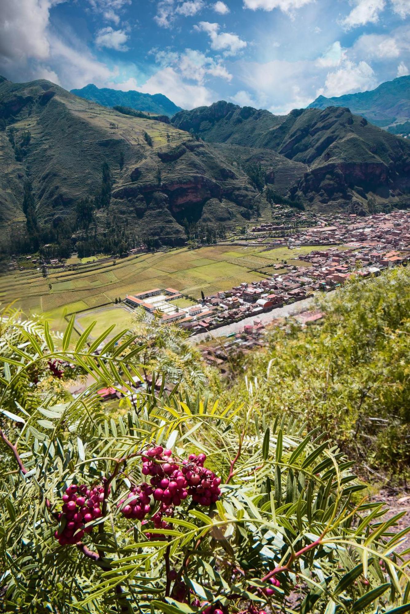 Rumi Lodge ปีซัก ภายนอก รูปภาพ